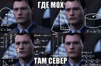 где мох там север