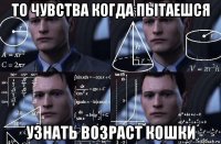 то чувства когда пытаешся узнать возраст кошки