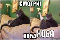 смотри! хоба