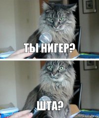 Ты нигер? Шта?