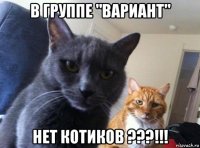 в группе "вариант" нет котиков ???!!!