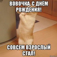 вовочка, с днём рождения! совсем взрослый стал!