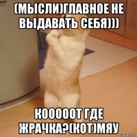 (мысли)главное не выдавать себя))) кооооот где жрачка?(кот)мяу