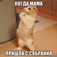 когда мама пришла с собрания