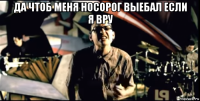 да чтоб меня носорог выебал если я вру 