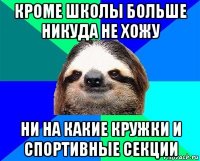 кроме школы больше никуда не хожу ни на какие кружки и спортивные секции