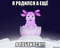 я родился а ещё я побрился!!!