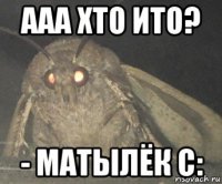 ааа хто ито? - матылёк с: