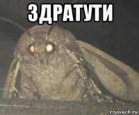 здратути 