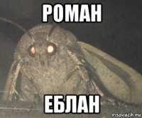 роман еблан