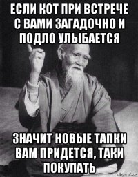 если кот при встрече с вами загадочно и подло улыбается значит новые тапки вам придется, таки покупать