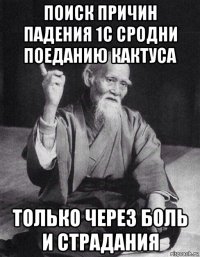 поиск причин падения 1с сродни поеданию кактуса только через боль и страдания