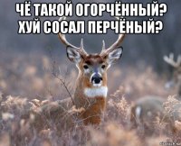 чё такой огорчённый? хуй сосал перчёный? 