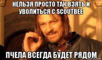 нельзя просто так взять и уволиться с scoutbee пчела всегда будет рядом