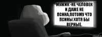 Мужик -не человек и даже не псина,потому что псины хотя бы верные.  