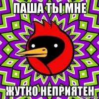 паша ты мне жутко неприятен