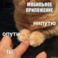 мобильное приложение ты