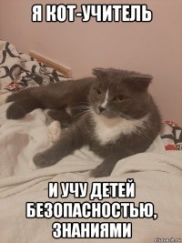 я кот-учитель и учу детей безопасностью, знаниями