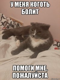 у меня коготь болит помоги мне, пожалуйста