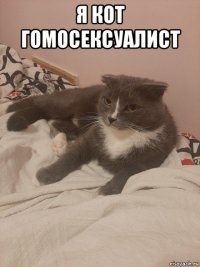 я кот гомосексуалист 