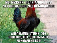 мы мужики - полигамные все! это нормально! это не блядство! а полигамные тёлки - это шлюхи!девки должны быть моногамные все!