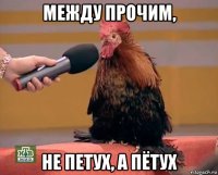 между прочим, не петух, а пётух