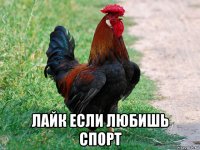  лайк если любишь спорт