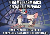 чем мы займёмся сегодня вечером? тем же чем и всегда, пинки, попробуем захватить шиномонтаж!