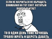 если не научиться не обращать внимания на тот скот, который вокруг обитает то в один день тоже начнешь травку жрать и шерсть давать