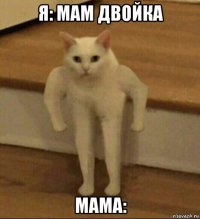 я: мам двойка мама: