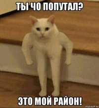 ты чо попутал? это мой район!