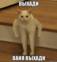 выхади ваня выхади