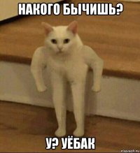 накого бычишь? у? уёбак