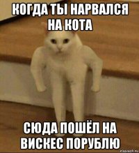 когда ты нарвался на кота сюда пошёл на вискес порублю