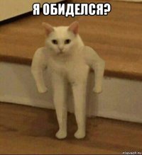 я обиделся? 