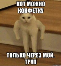 кот можно конфетку только через мой. труп