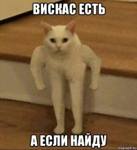 вискас есть а если найду