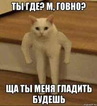 ты где? м, говно? ща ты меня гладить будешь