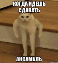 когда идешь сдавать ансамбль