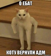 о ебат коту вернули адм