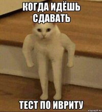 когда идёшь сдавать тест по ивриту