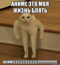 аниме это моя жизнь блять анимеееееееееееееее!!!!!!!!!!!!!!!!!