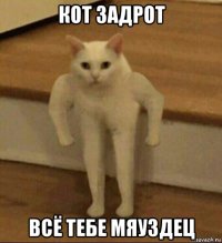 кот задрот всё тебе мяуздец