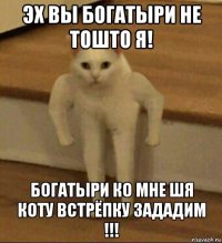 эх вы богатыри не тошто я! богатыри ко мне шя коту встрёпку зададим !!!