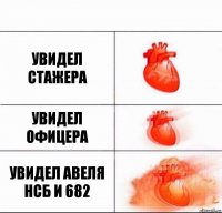 увидел стажера увидел офицера увидел авеля нсб и 682