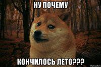 ну почему кончилось лето???