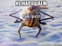 не нарушаем 