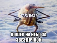  пошел на небо за звездочкой