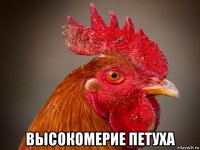  высокомерие петуха