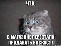 что, в магазине перестали продавать вискас?!